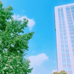 -中谷小南国花园酒店·宴会厅