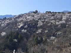 -白水寺森林公园