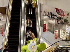 -醉得意·山茶油炒土鸡(莆田仙游方圆荟店)