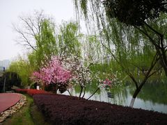 -滨湖塘西河公园