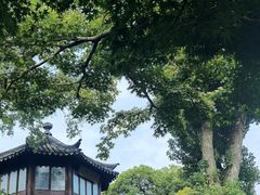 -拙政园