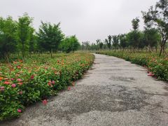-东郊湿地公园