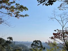 -天鹿湖森林公园