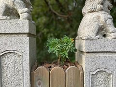 -同里国家湿地公园
