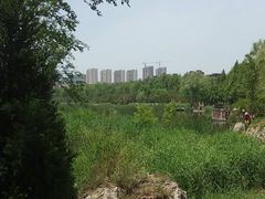 -前关湿地公园