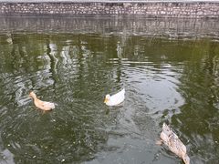 -迎泽公园
