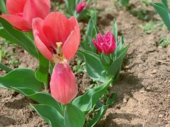 -长春公园(普阳街道)