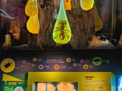 -正佳自然科学博物馆