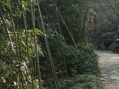 -南山风景名胜区