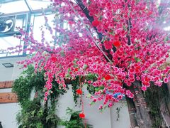 -丽江庭院之爱在路上(西单店)