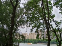 -南翔镇银翔湖公园