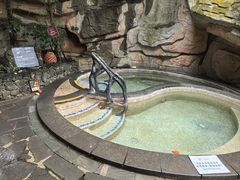 -海口观澜湖火山温泉谷