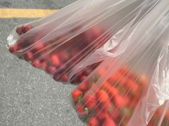 -火炉情韩国料理店(古田路店)