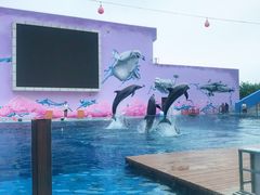 -北戴河圣蓝海洋公园