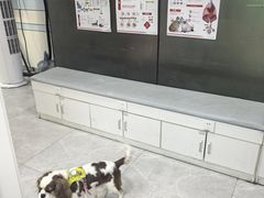 -中农国际动物医院24小时·猫科·骨科·急重症中心
