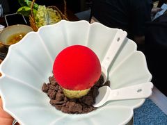 -菌自由丨野生菌火锅特色庭院餐厅(丽江古城店)