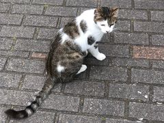 -苏州河梦清园环保主题公园