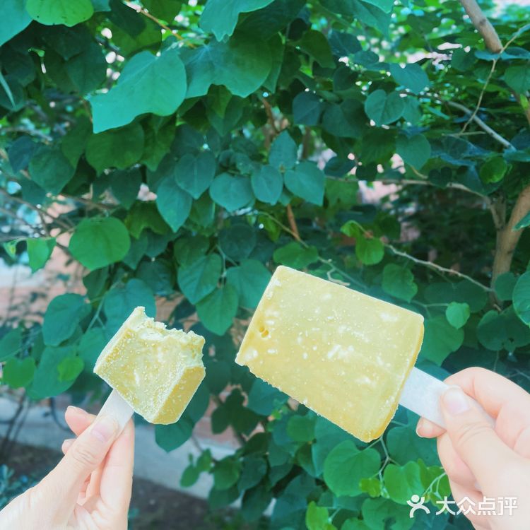 钟薛高✖️五芳斋 清煮箬叶 一口清新🍃