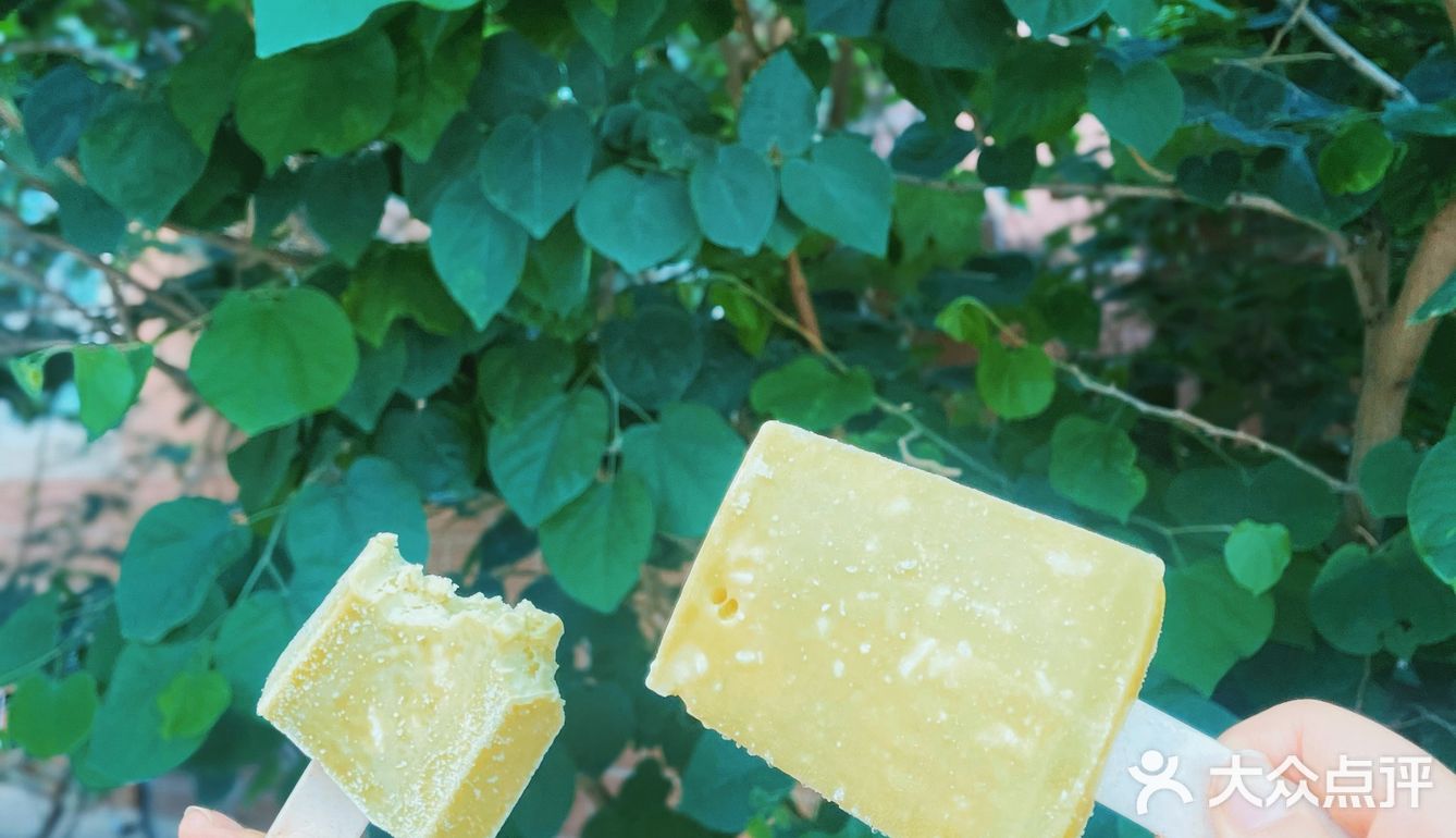 钟薛高✖️五芳斋 清煮箬叶 一口清新🍃