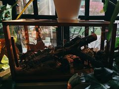 -一尺花园(安和花园店)