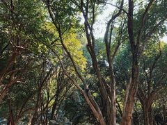-杭州植物园