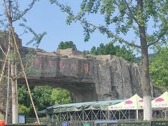 -合肥野生动物园