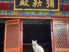 -长春观
