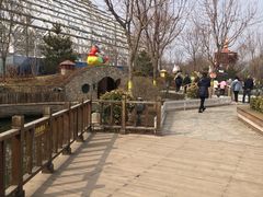 -南宫五洲植物乐园