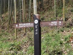 -莫干山风景区