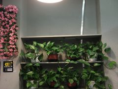 -鱼羊宴烤鱼羊蝎子烧烤(怡馨家园店)