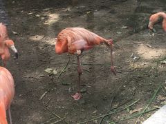 -萧山德纳MAX影城