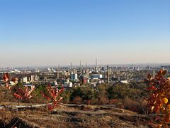 -白水寺森林公园