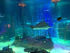 -沈阳海洋探索中心