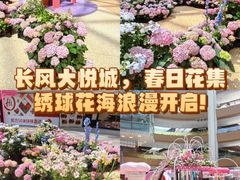 -上海长风大悦城