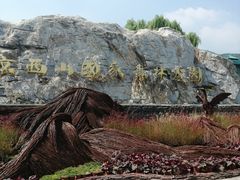 -北京西山国家森林公园