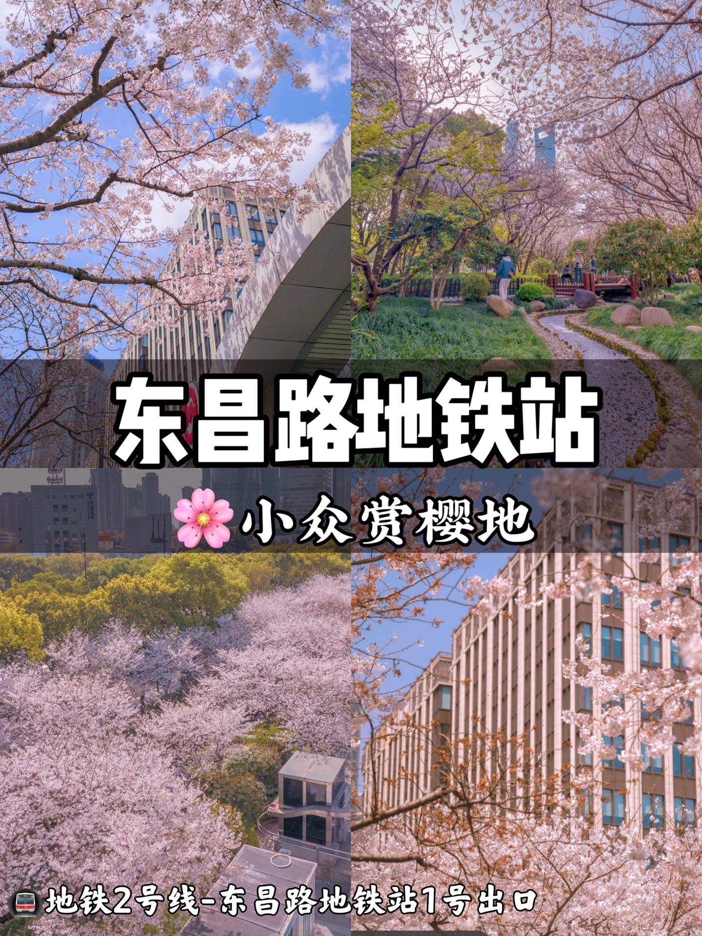 赏花