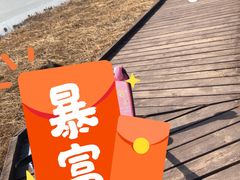 -西青郊野公园