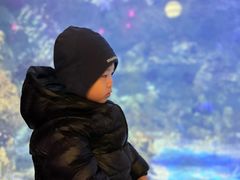 -烟台海昌鲸鲨海洋公园