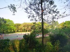 -南国桃园旅游度假区