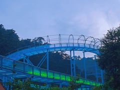 -大芦花风景区