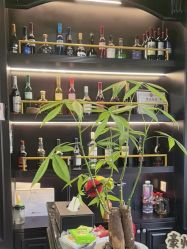 -豪帅男士理容馆