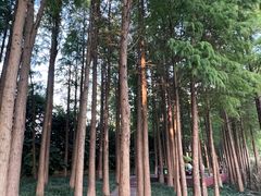 -苏州太湖湖滨国家湿地公园