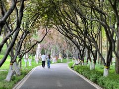 -石家庄市植物园
