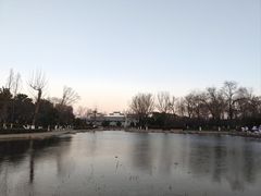 -沙澧河风景区