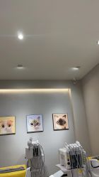 -洗脸猫·洗脸吧