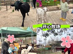 -盈香心动乐园