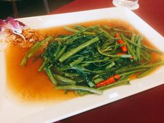 空心菜-Daddy Nimman Chiang Mai
