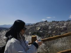-白水寺森林公园