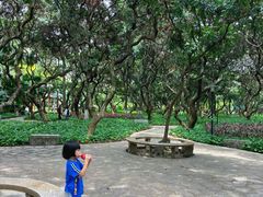 -黄埔荔枝公园
