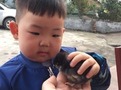 -湖南东洞庭湖国家级自然保护区